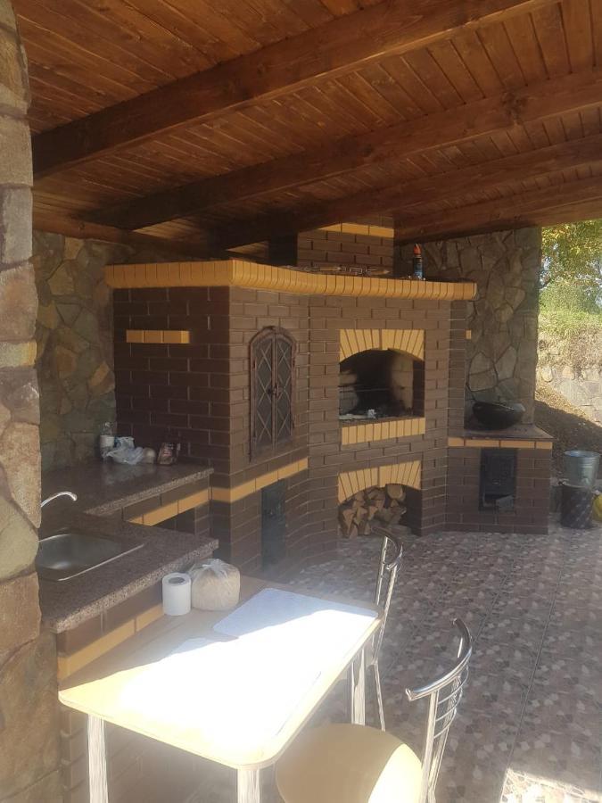 Villa Paraiso Karpaty Tesnitska Buitenkant foto